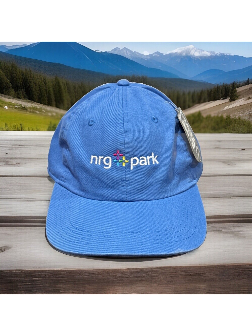 NRG Park Reliant Park Astrodome Country Music Band Concerts Blue Baseball Cap